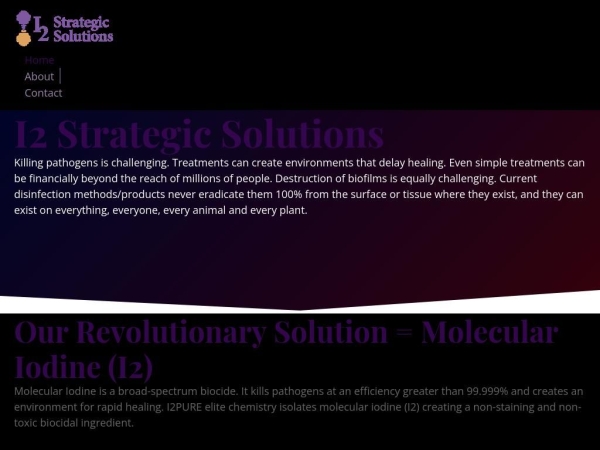 i2strategicsolutions.com