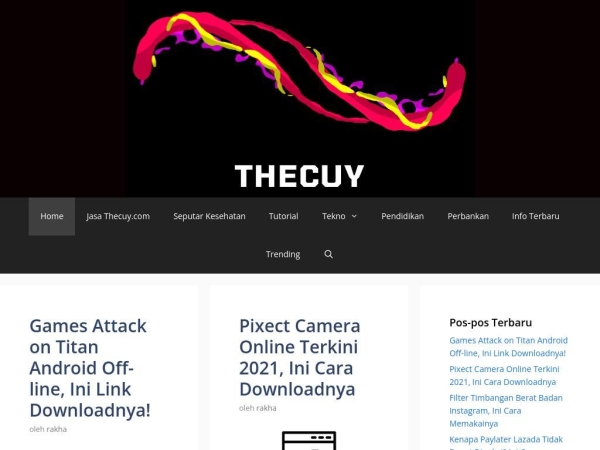 thecuy.com