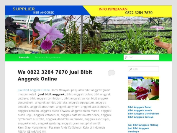 mariberkebun.com