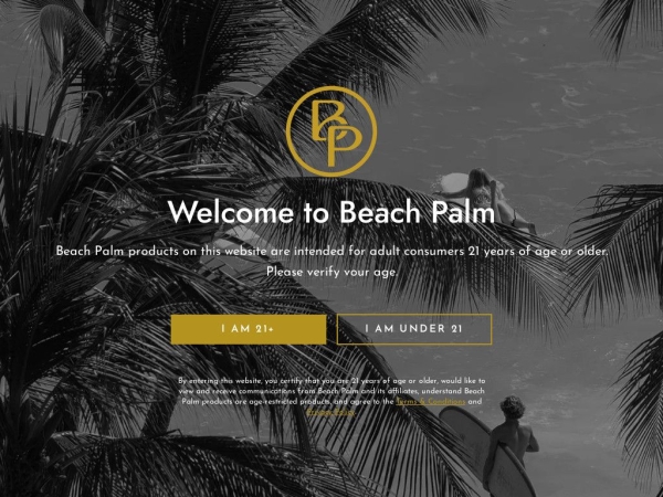 beachpalmusa.com