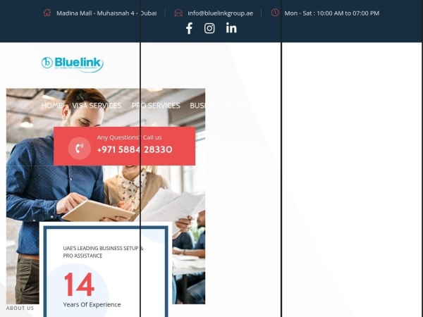 bluelinkgroup.ae