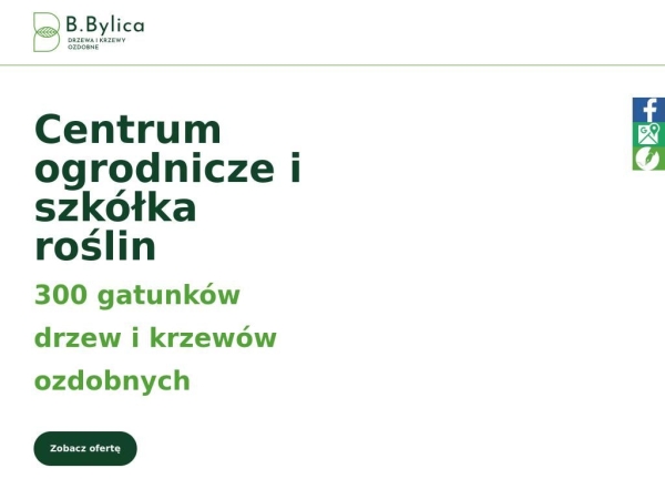 krzewy-bylica.pl